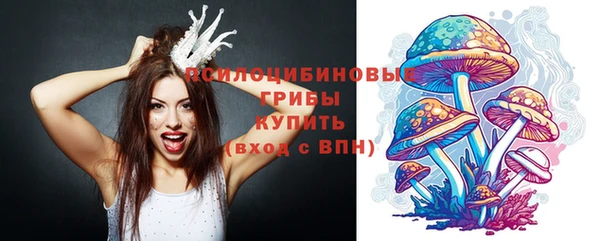ГАЛЛЮЦИНОГЕННЫЕ ГРИБЫ Алзамай