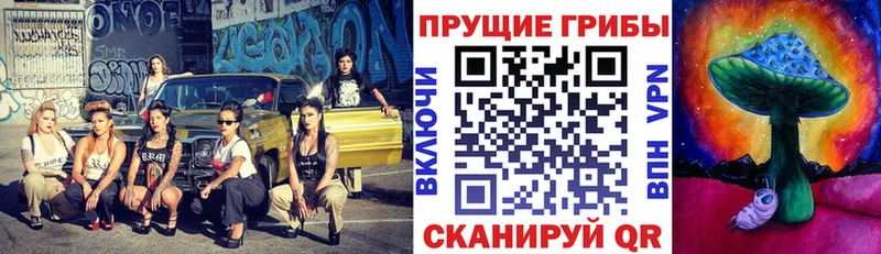 Галлюциногенные грибы Psilocybe  MEGA как зайти  Осинники  цена  